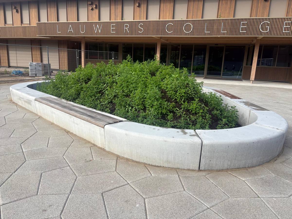 Lauwers College in Grijpskerk — foto 8