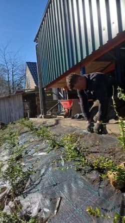 Bijma Bestratingen — walbeschoeiing midwolda