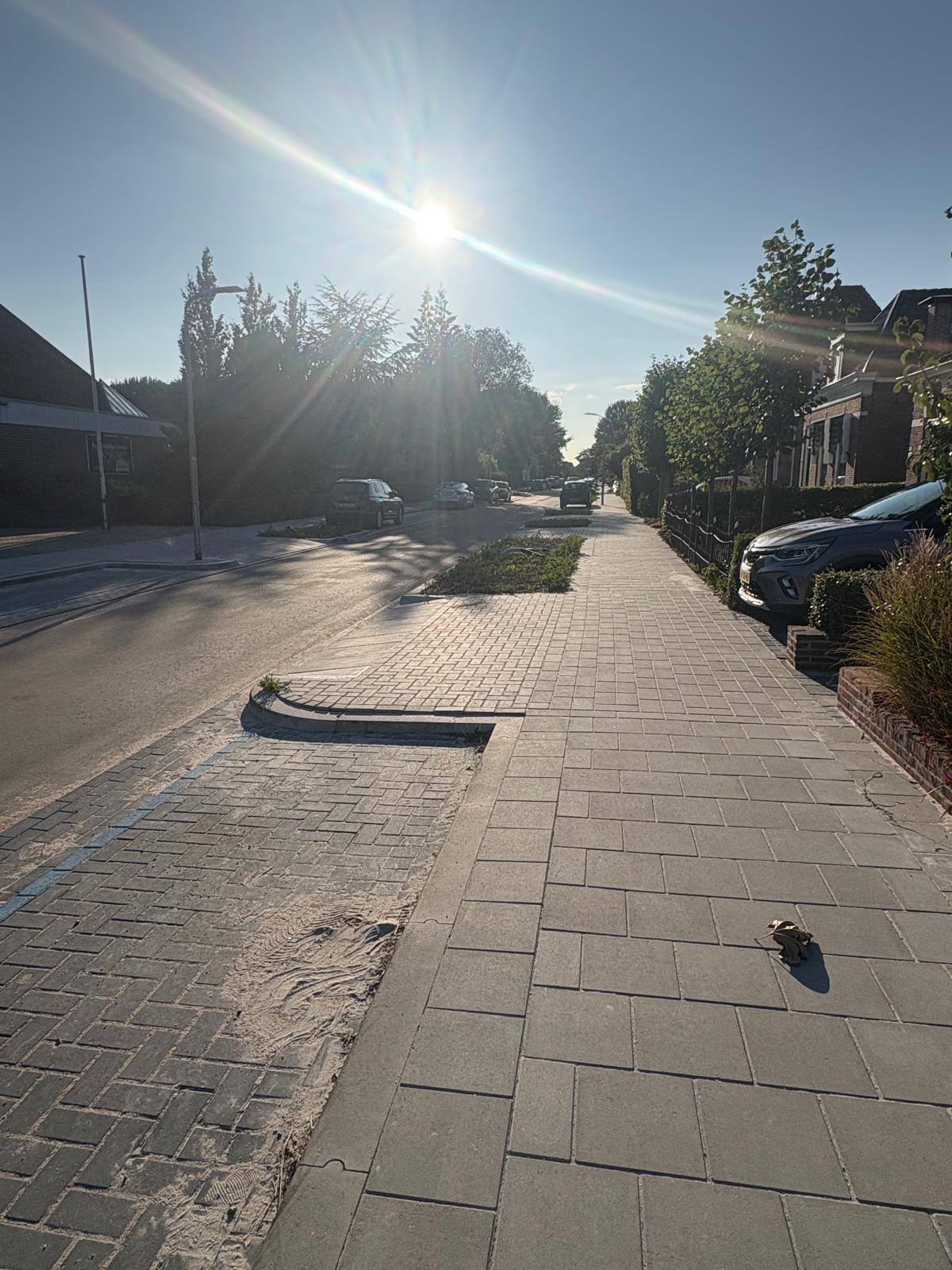 Huizumerlaan in Leeuwarden — foto 22