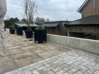 Brasserie Westersail in Eernewoude — foto 20